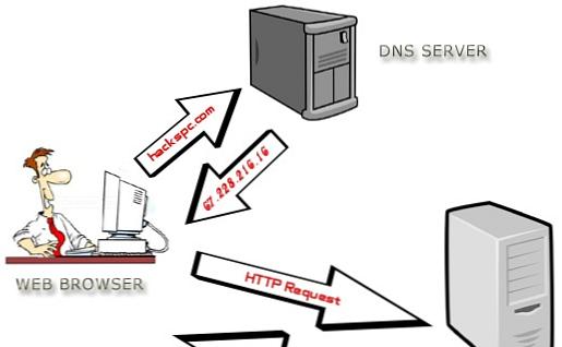 В чем разница между DNS и DHCP-сервером? с правильным определением и кратким объяснением